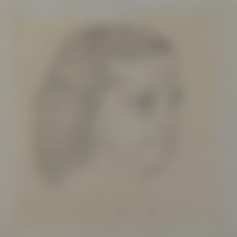 Portrait de Mademoiselle Caillaoux de trois-quarts (preview)