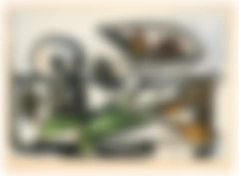 NATURE MORTE AU CRÂNE  (preview)