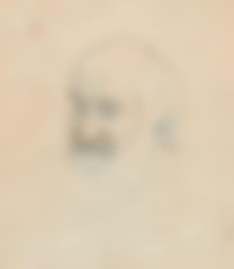 PORTRAIT DE CAMILLE PISSARRO (preview)