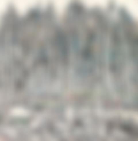 WHITE BIRCH FOREST IN XINJIANG (preview)