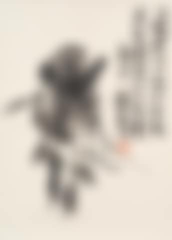Donkey (preview)