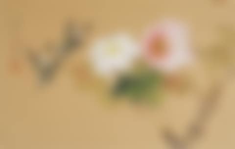 Tree Peonies (preview)