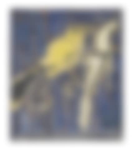 Bird (preview)