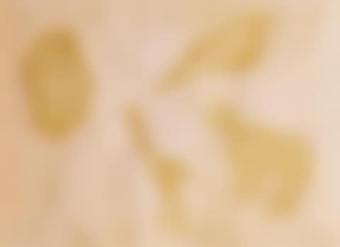QUATRE ANIMAUX : CHOUETTE, OISEAU, GIRAFE ET CHEVAL (preview)