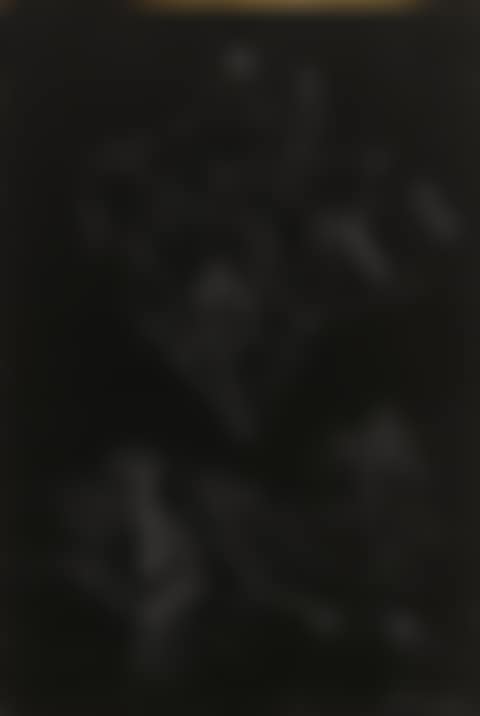 COMPOSITION GÉOMÉTRIQUE. TRAITS BLANCS ET ONDULATIONS SUR FOND NOIR (preview)