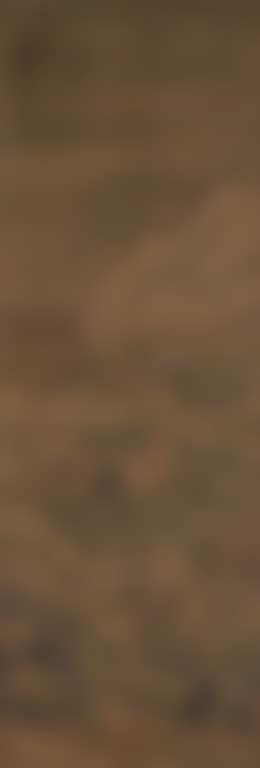 Landscape (preview)