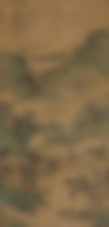Landscape (preview)