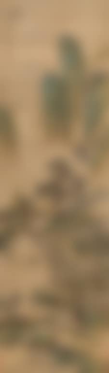 Landscape (preview)