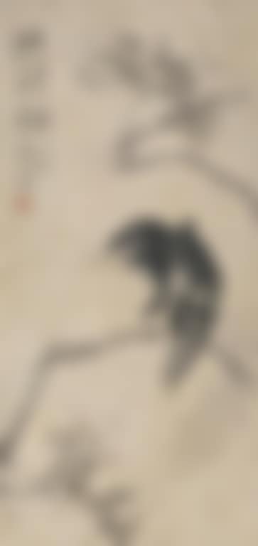 Parrot (preview)