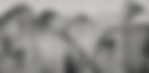 LANDSCAPE SERIES (preview)