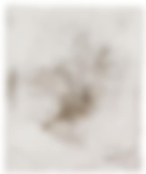 DRAWING FOR LIGHT CYCLE: EXPLOSION PROJECT FOR CENTRAL PARK, NEW YORK (preview)