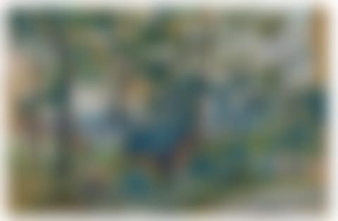 ENVIRONS DE PARIS (preview)