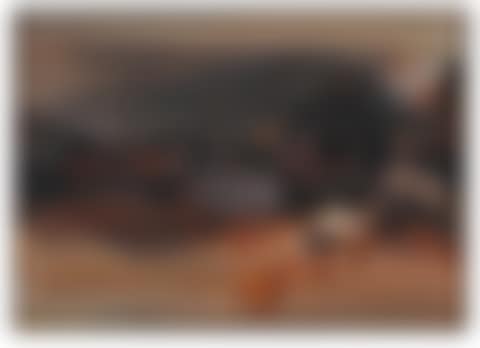 NO. 193 (preview)