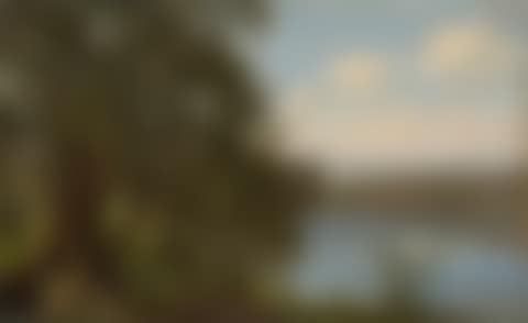 View of Lago di Castello (preview)