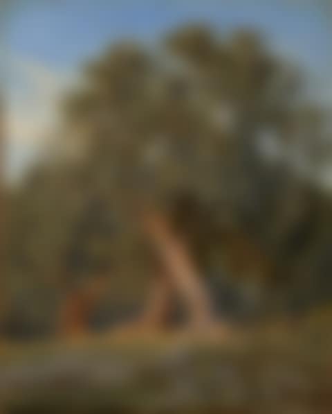 Olive trees in Tivoli (preview)