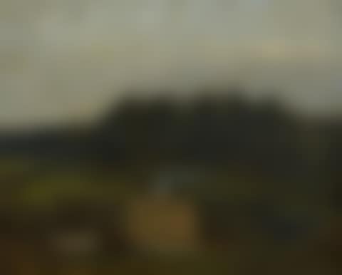 Farm near a wood at dusk (preview)