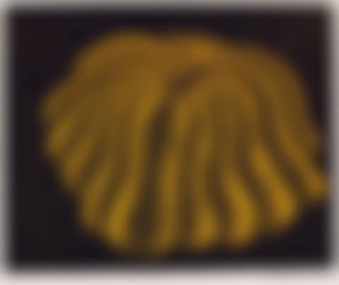 Pumpkin of the sun (preview)