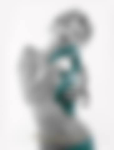 Marilyn with Blue Roses (preview)
