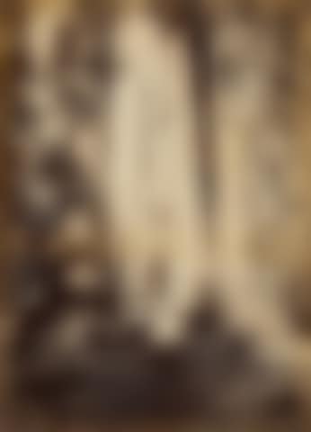 Calaveras Grove; and Pine Cones (preview)