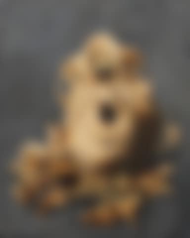 A skull with a snake; and The underside of a skull with other bones (preview)