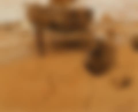 Katwijk Beach (preview)