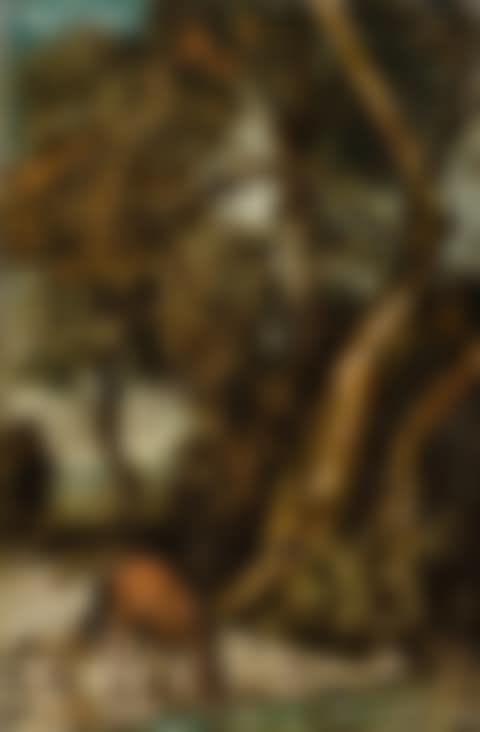 CAVALLO ALLA FONTE (preview)
