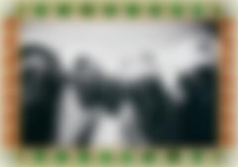 LV POSSE (preview)