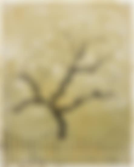 der innere Garten (preview)