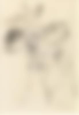 A small donkey (preview)