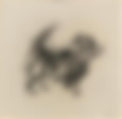 A small dog (preview)