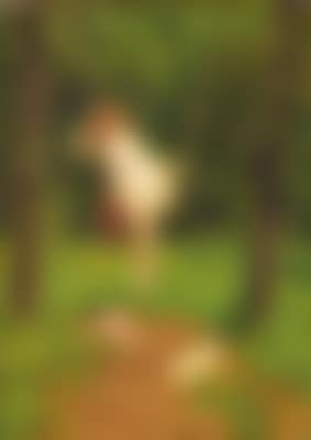 Kindred spirits (preview)