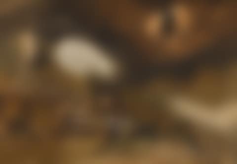 THE CAVE BENEATH THE HOLY ROCK, JERUSALEM (preview)