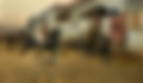 A PRIZE THOROUGHBRED (preview)