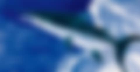 Shark (preview)