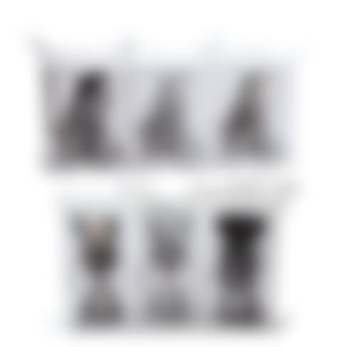 Companion (Passing Through) (Black; Grey; & Brown); & Small Lie (Brown; Grey; & Black) (preview)