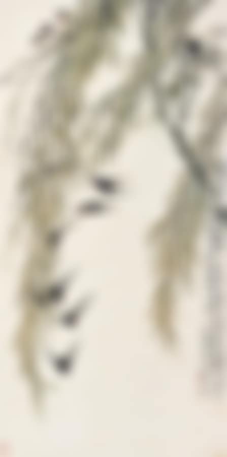 Willows (preview)