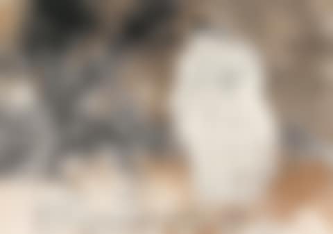 Figures (preview)