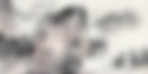 Landscape (preview)