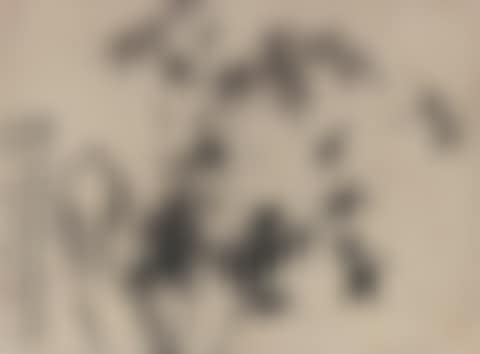 Bamboo and Rocks (preview)