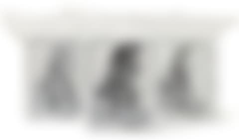 COMPANION: PASSING THROUGH (SET OF THREE) (preview)