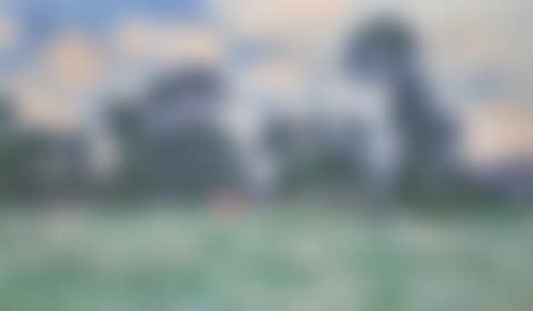 PRAIRIE, CIEL NUAGEUX (preview)