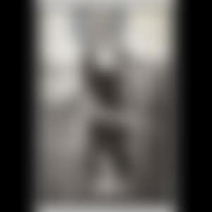 Untitled (TSE) (preview)