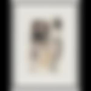 Untitled (preview)