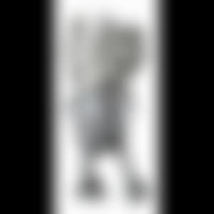 Companion Robert Lazzarini Version (preview)