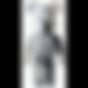 BE@RBRICK COMPANION 1000% (Gray) (preview)