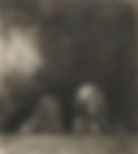 Quasimodo (preview)