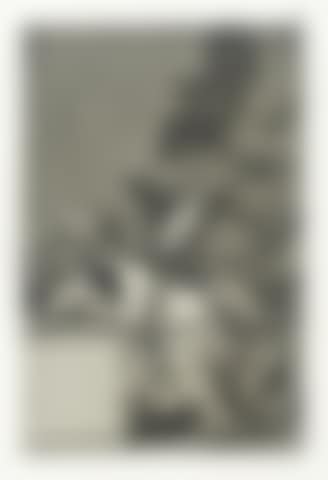 El sueno de la razon produce monstruos, plate 43, from 'Los Caprichos' (preview)
