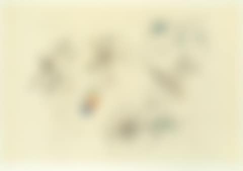 Untitled (preview)