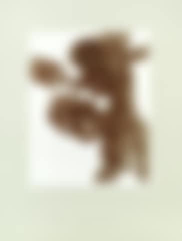 Foetus (preview)