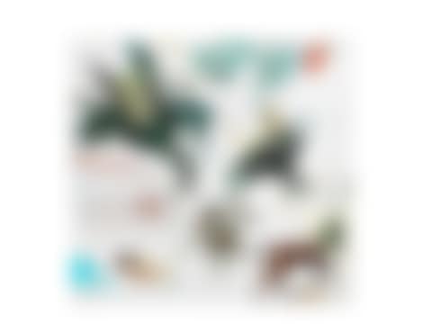 Star Quarters IV (preview)